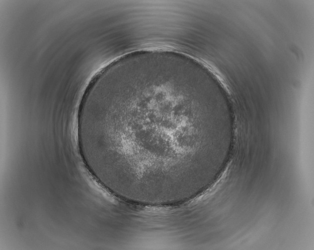 X0000112900840200908211514