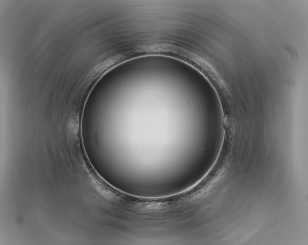 X0000112900841200908211514
