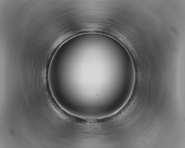 X0000112900842200908211514