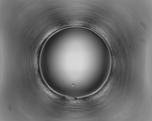 X0000112900843200908211514