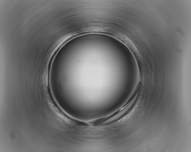 X0000112900844200908211514