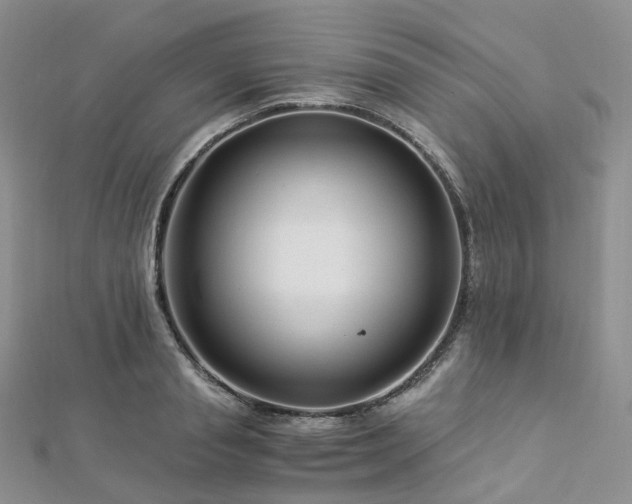 X0000112900845200908211514
