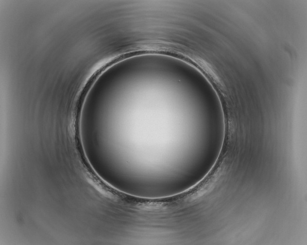 X0000112900846200908211514