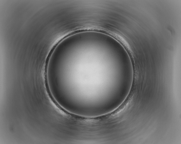 X0000112900847200908211514