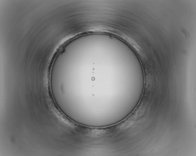 X0000112900848200908211514