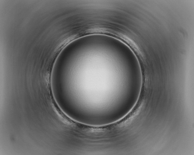X0000112900849200908211514
