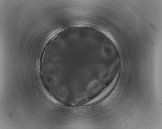 X0000112900850200908211514