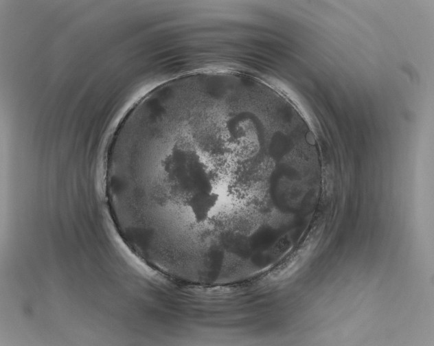 X0000112900851200908211514