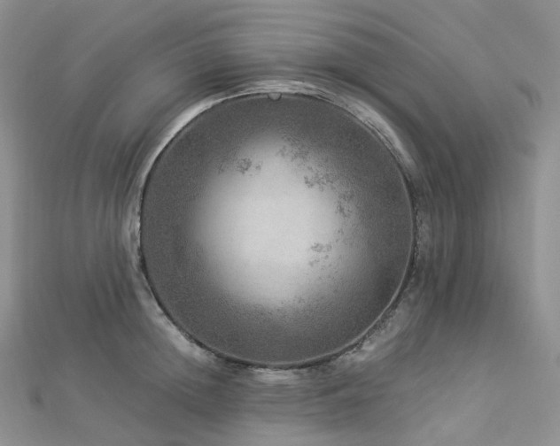 X0000112900852200908211514