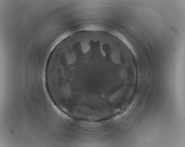 X0000112900853200908211514