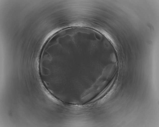 X0000112900854200908211515