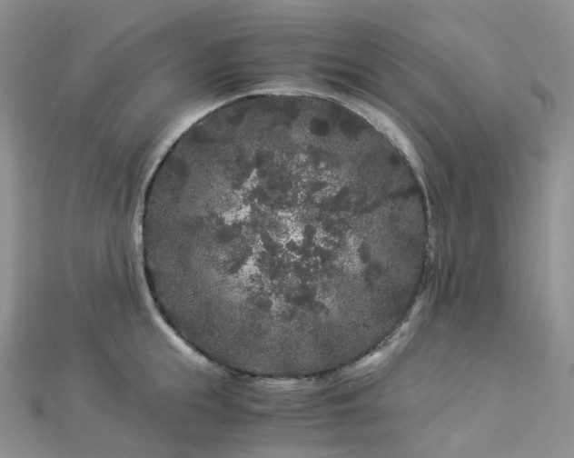 X0000112900855200908211515