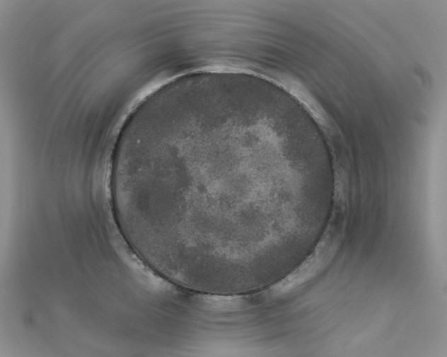 X0000112900856200908211515