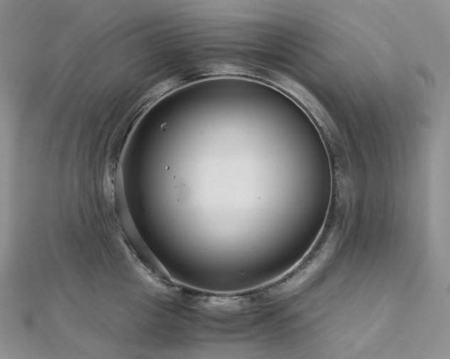 X0000112900857200908211515