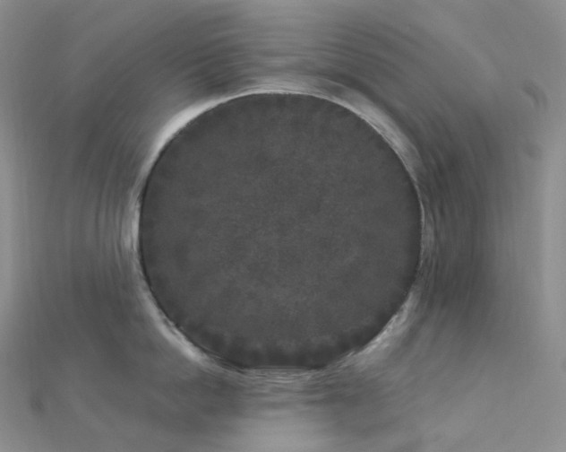 X0000112900862200908211515