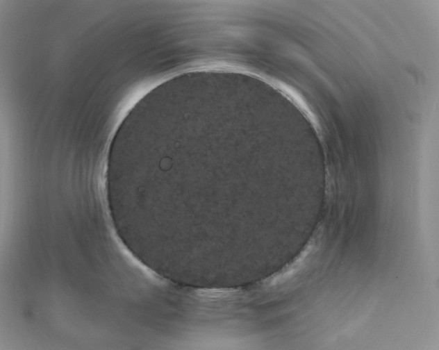 X0000112900863200908211515