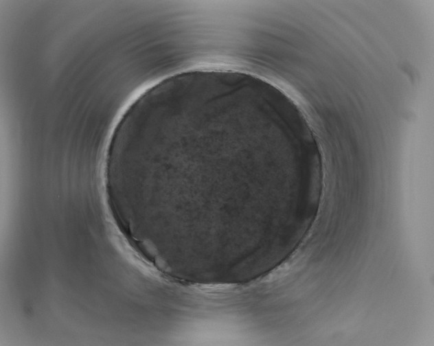 X0000112900864200908211515