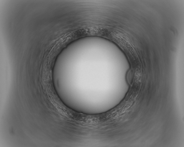 X0000112900865200908211514