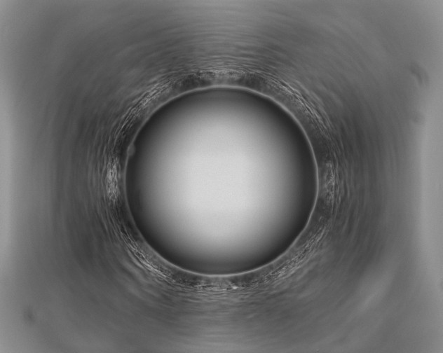 X0000112900866200908211514