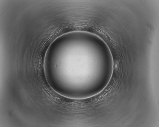 X0000112900867200908211514