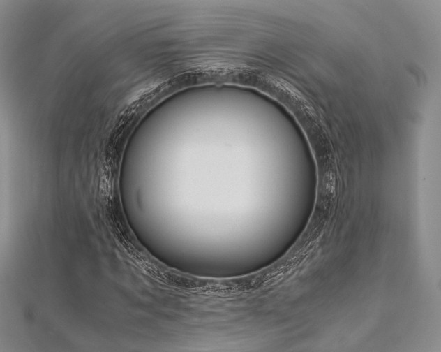 X0000112900869200908211514