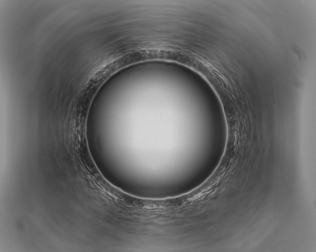 X0000112900870200908211514
