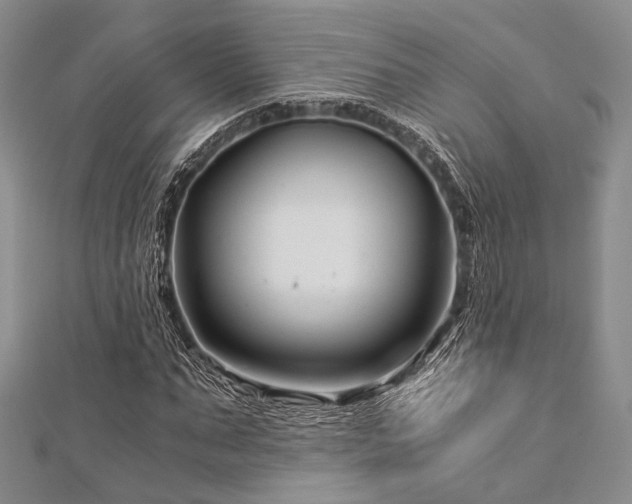 X0000112900871200908211514