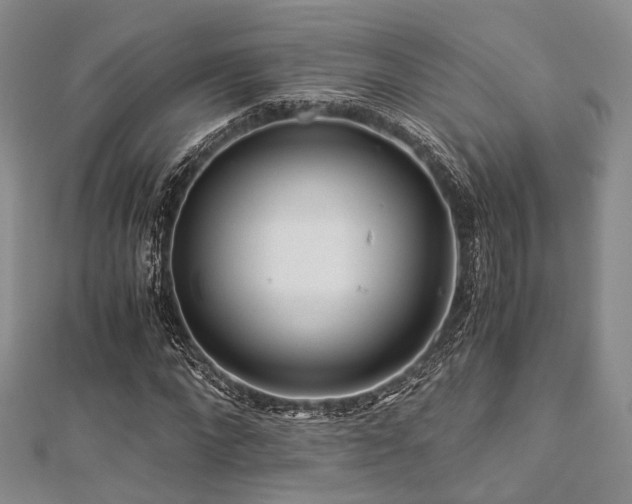 X0000112900872200908211514