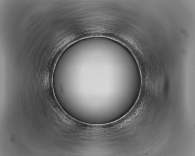 X0000112900873200908211514