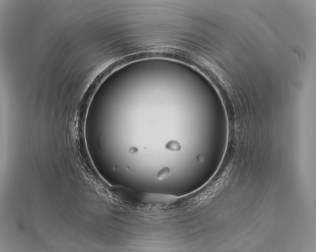 X0000112900875200908211514