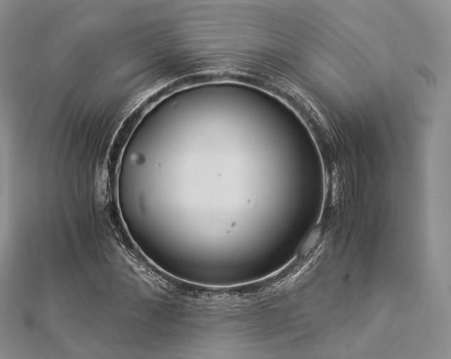 X0000112900876200908211514