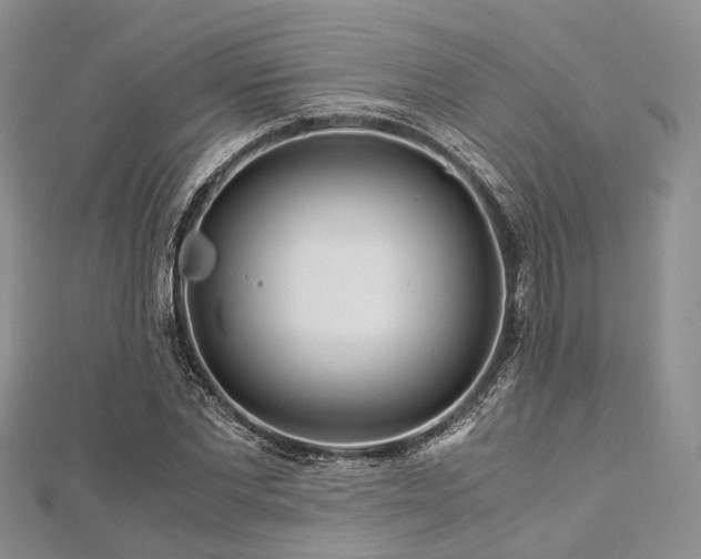 X0000112900877200908211514