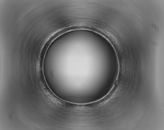 X0000112900880200908211513