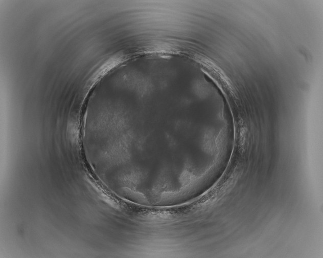 X0000112900882200908211513