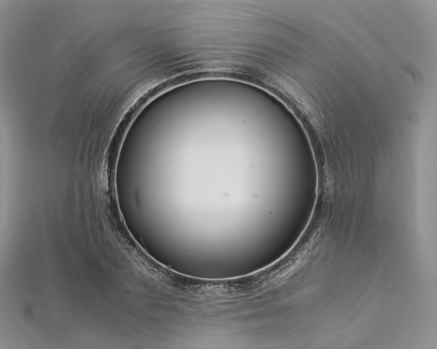 X0000112900883200908211513