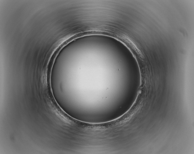 X0000112900884200908211513