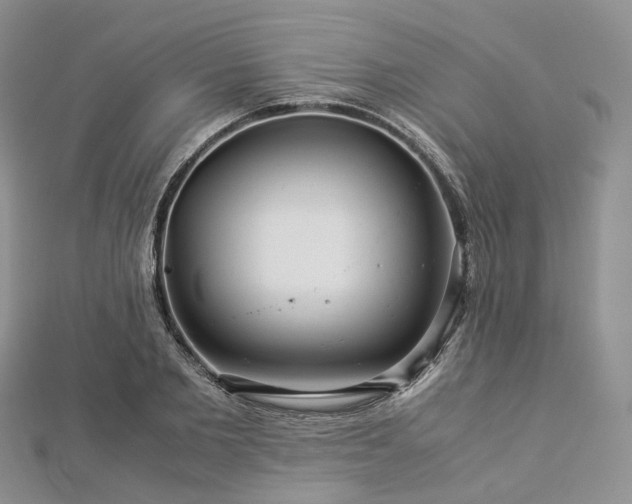 X0000112900885200908211513