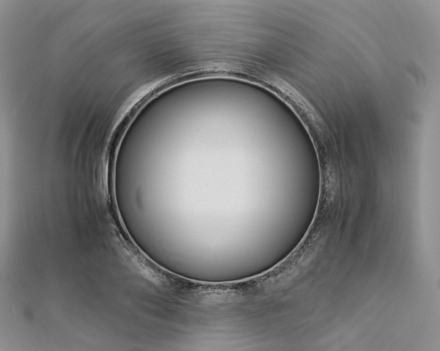 X0000112900886200908211513