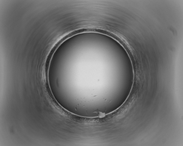 X0000112900887200908211513
