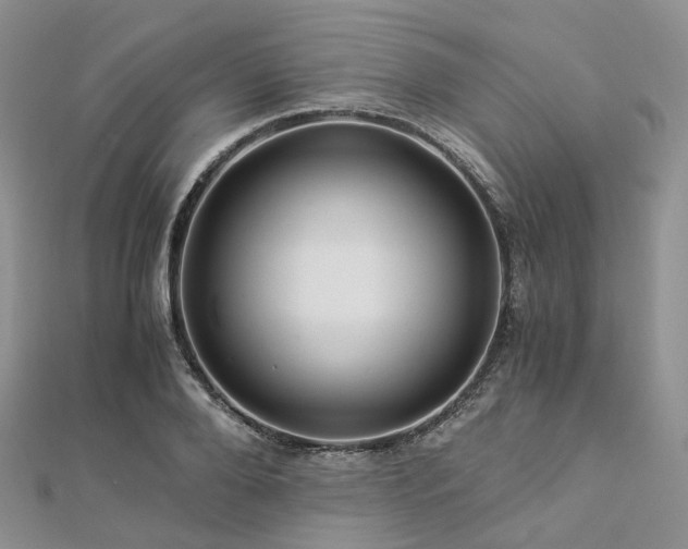 X0000112900888200908211513
