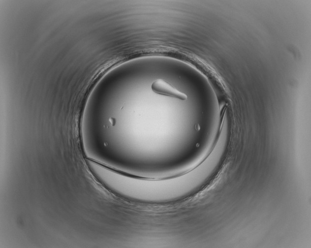 X0000112900889200908211513