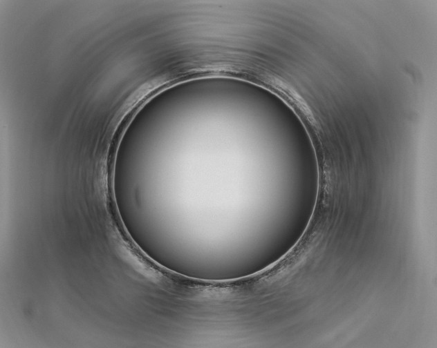 X0000112900890200908211513