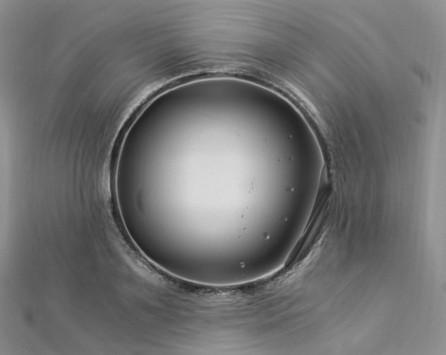 X0000112900891200908211513