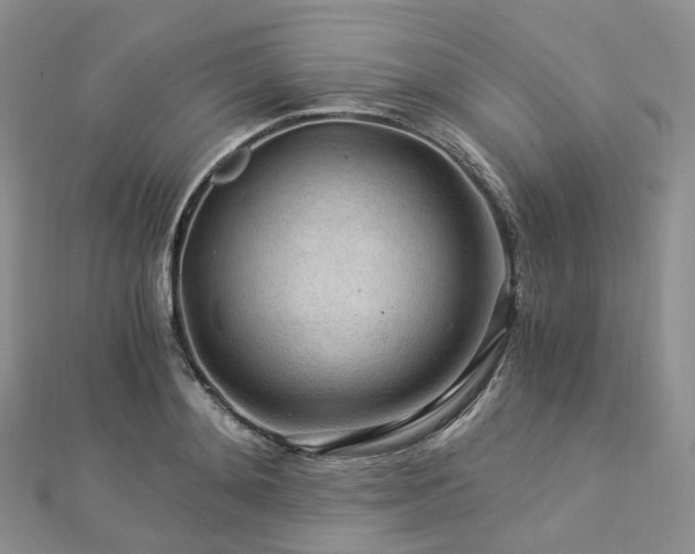 X0000112900892200908211513