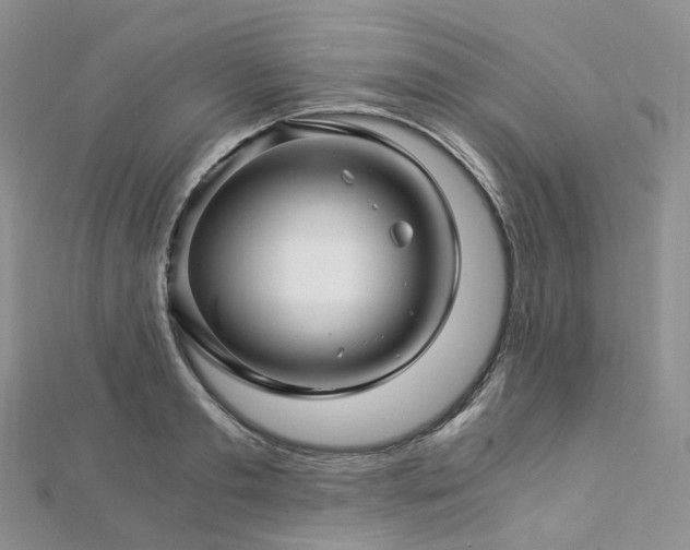 X0000112900893200908211513