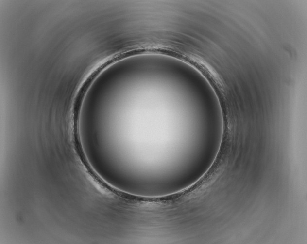 X0000112900894200908211513
