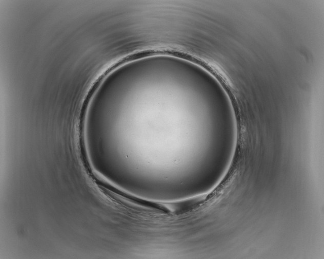 X0000112900895200908211513
