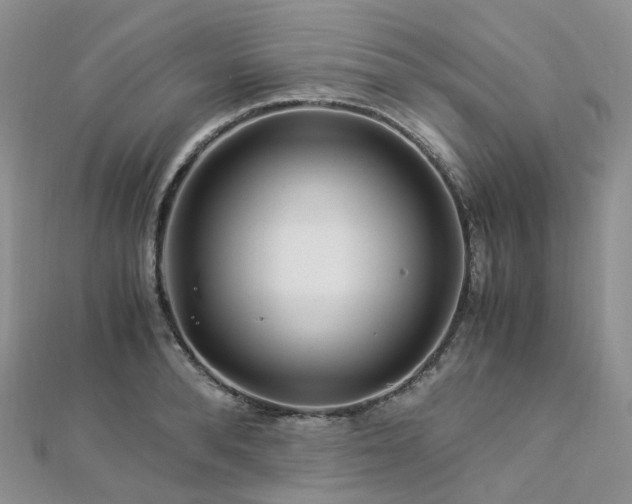 X0000112900896200908211513
