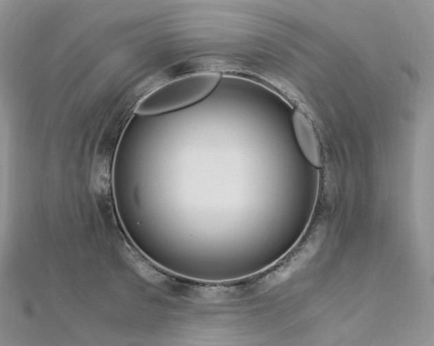 X0000112900897200908211513