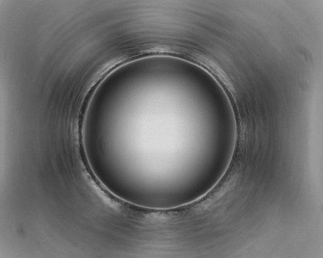 X0000112900898200908211513